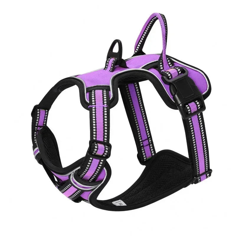 Adjustable No-Pull Dog Harness & Leash Set